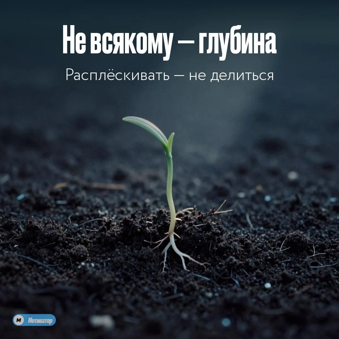 Внутреннее — только для достойных

Открытость — дар. Дарите его тем, кто умеет ценить. Уважайте тиши