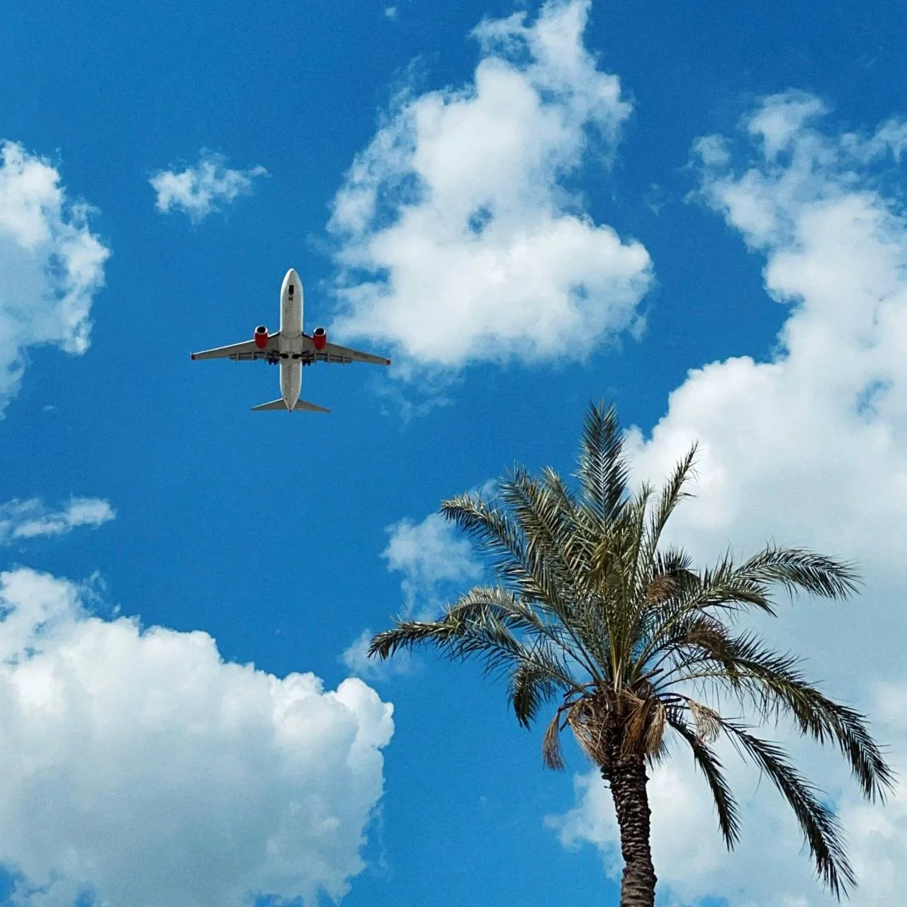 ✈️ Новинка от Аэрофлота