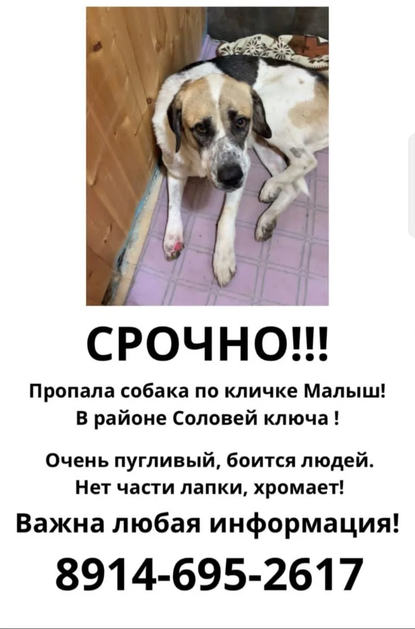 Помогите найти 🙏