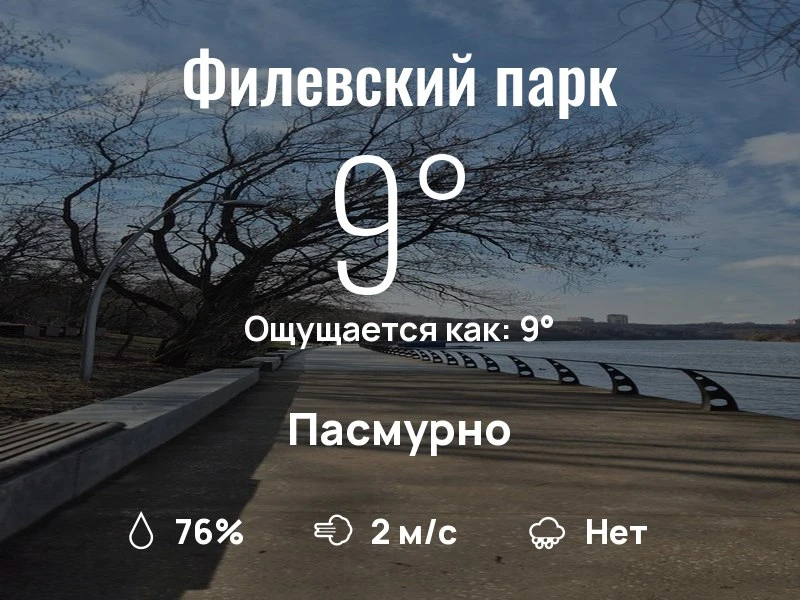 Что с погодой в Филевском парке?