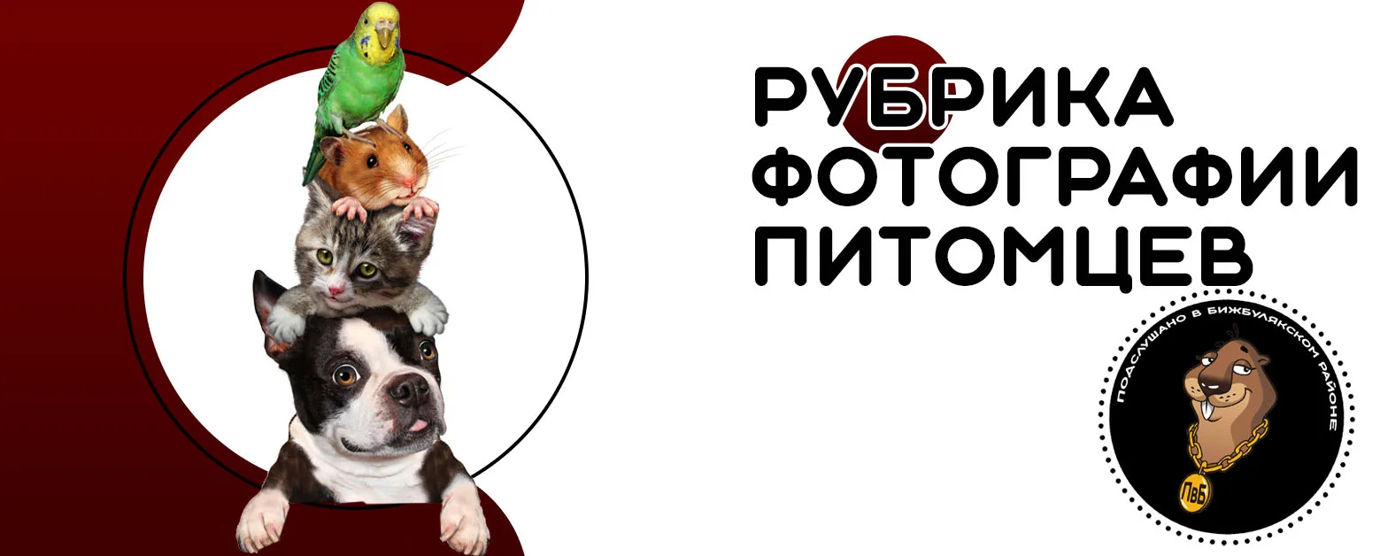 Фоторубрика "Питомцы"