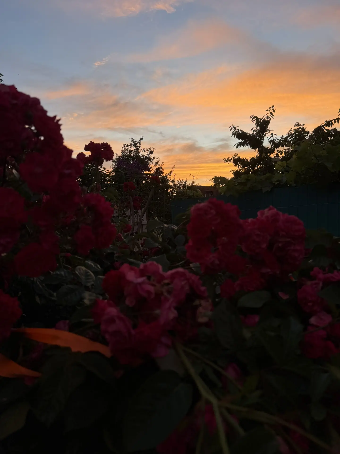 Закат 🌅