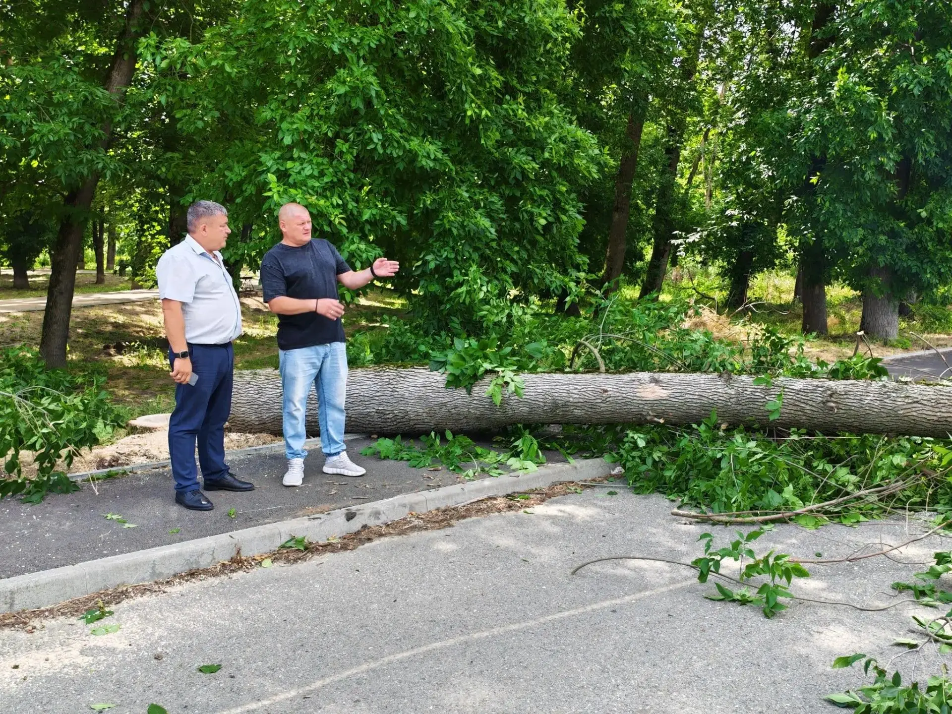 Готовимся к установке уличного освещения  💡                                                        