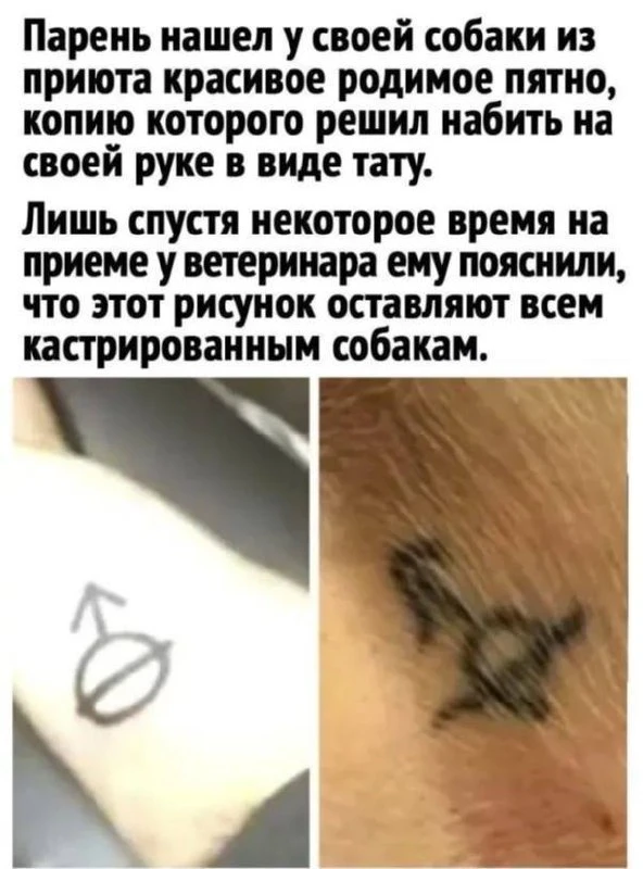 Такое комментировать - только портить