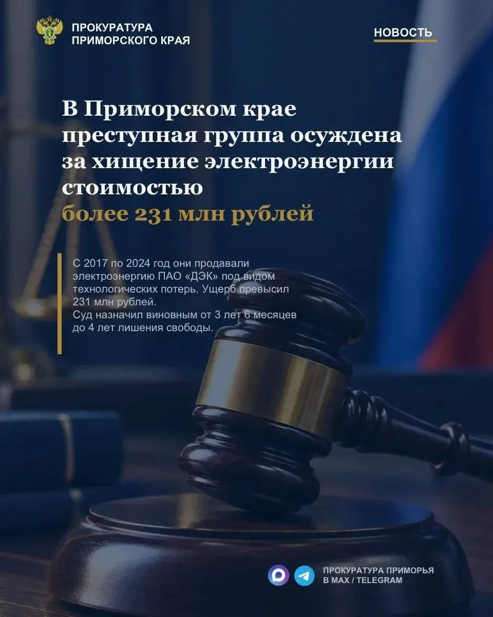 ⚖️В Приморском крае преступная группа осуждена за хищение электроэнергии стоимостью бол...
