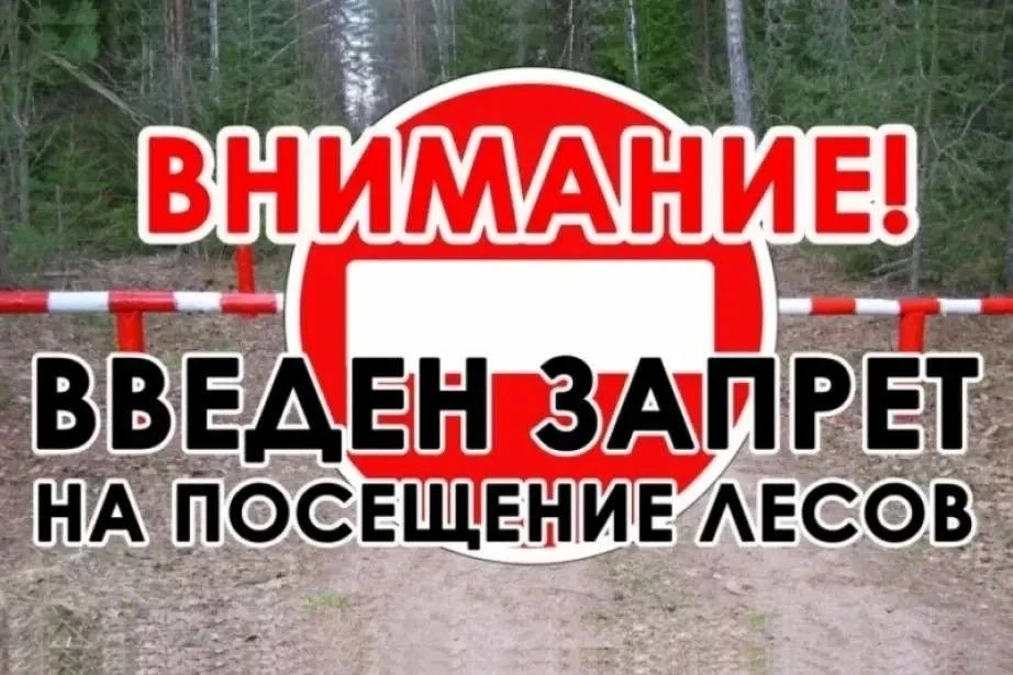 ⚠️Внимание! Леса закрыты для посещения до конца мая