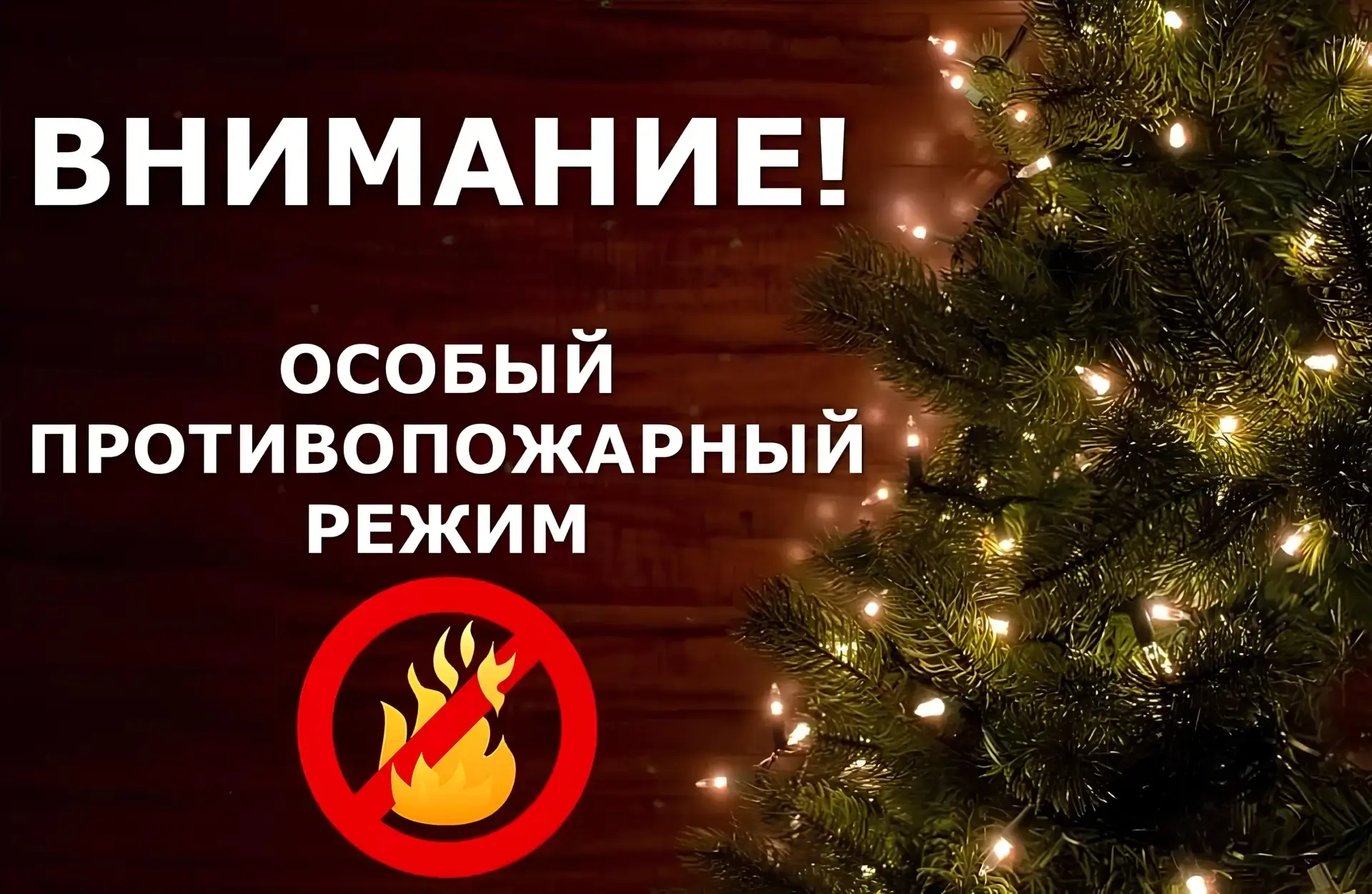 ❗️ С 29 декабря в Иркутской области вводится особый противопожарный режим ❗️