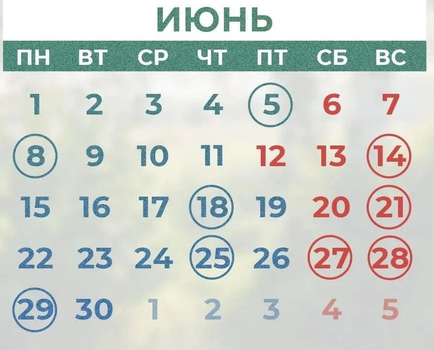 Сегодня в рубрике – профессиональные праздники июня