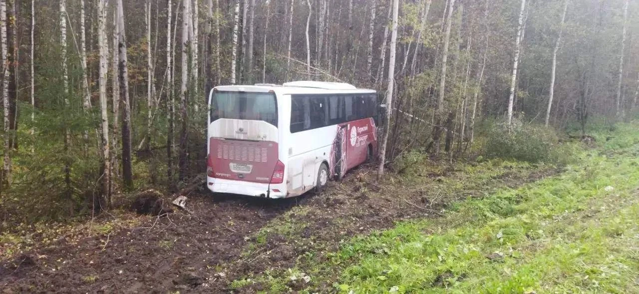 🚨 Трагедия на дороге: в Прикамье — ДТП с рейсовым автобусом, возбуждено уголовное дело