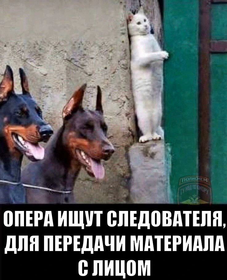 канал ПЕНСИОНЕР МВД