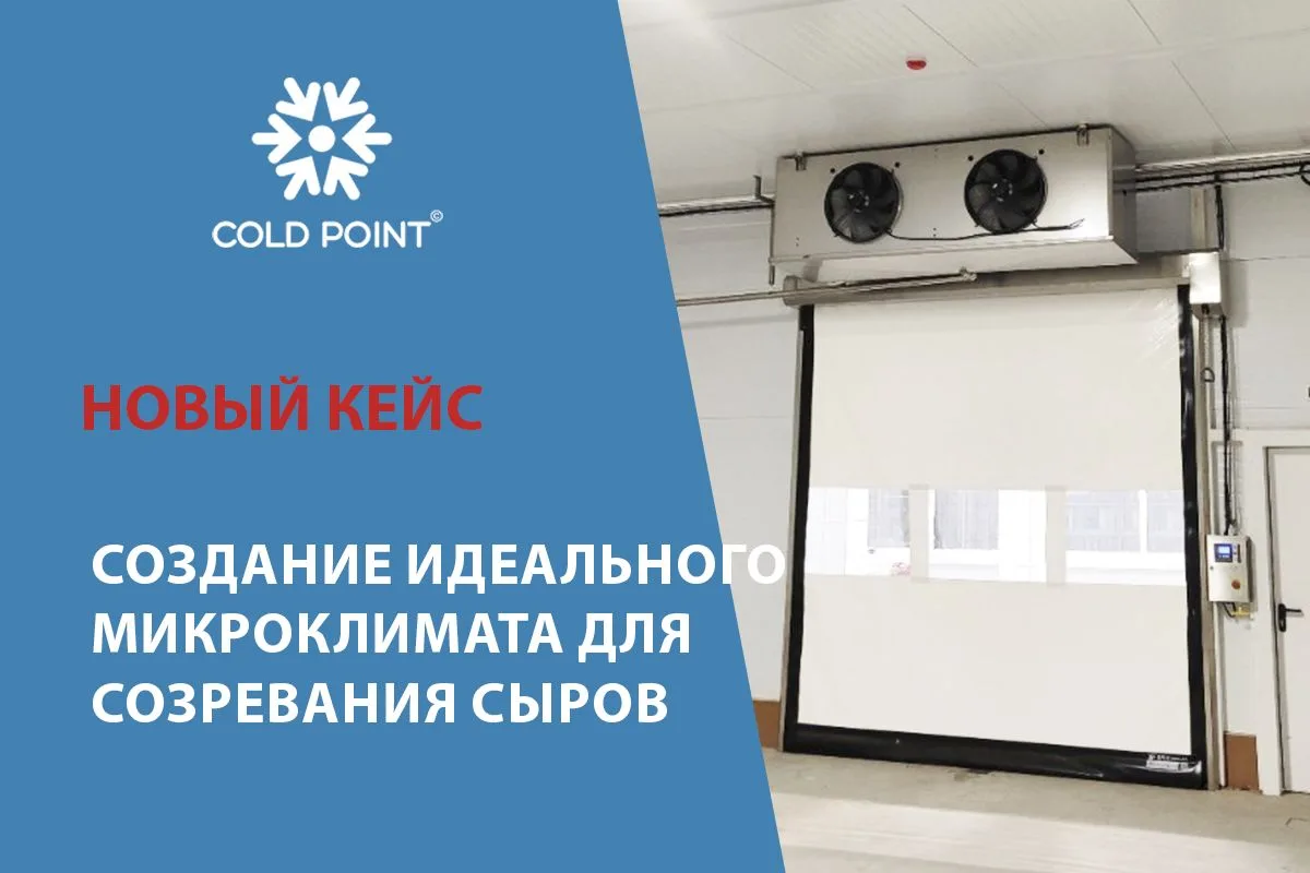 🧀  Для производства качественного сыра соблюдение технологии созревания является крити...