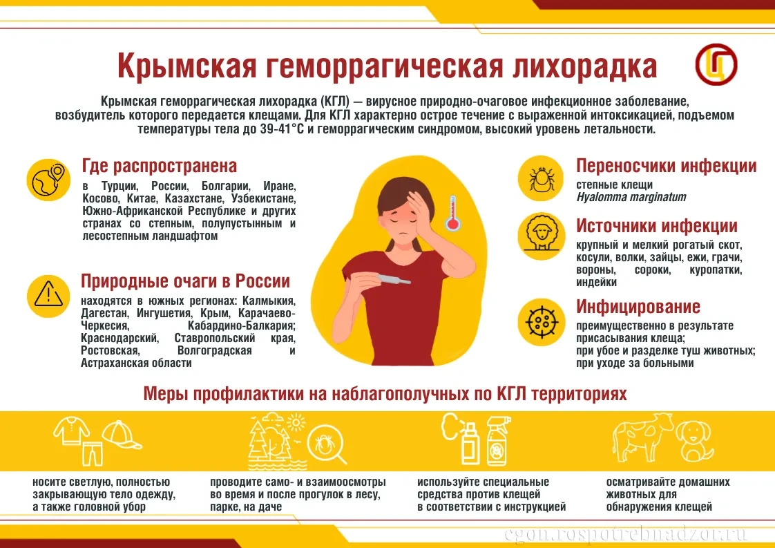 Крымская геморрагическая лихорадка (КГЛ, лихорадка Крым-Конго) — острая патология вирус...