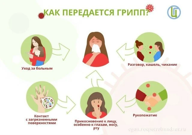 ВАКЦИНАЦИЯ ПРОТИВ ГРИППА