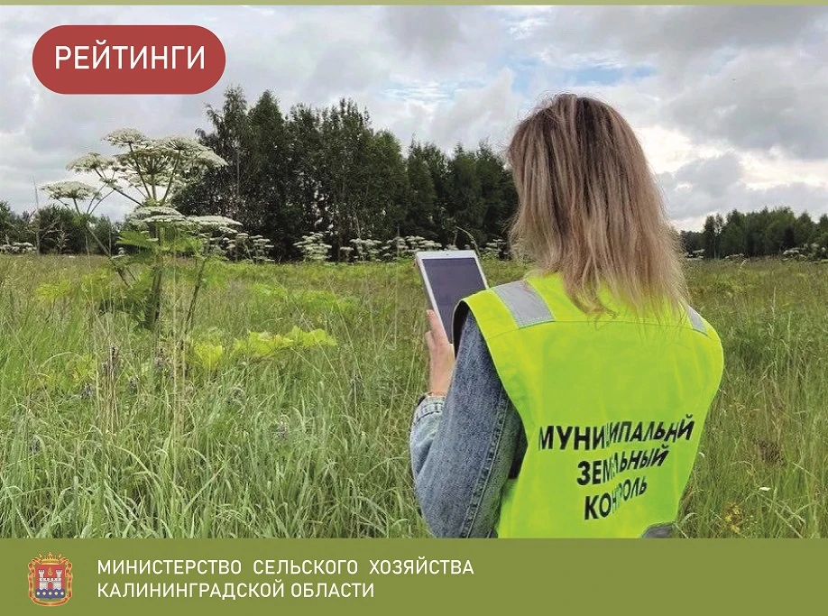 👍📍Калининградская область стала второй в Российской Федерации по эффективности исполн...