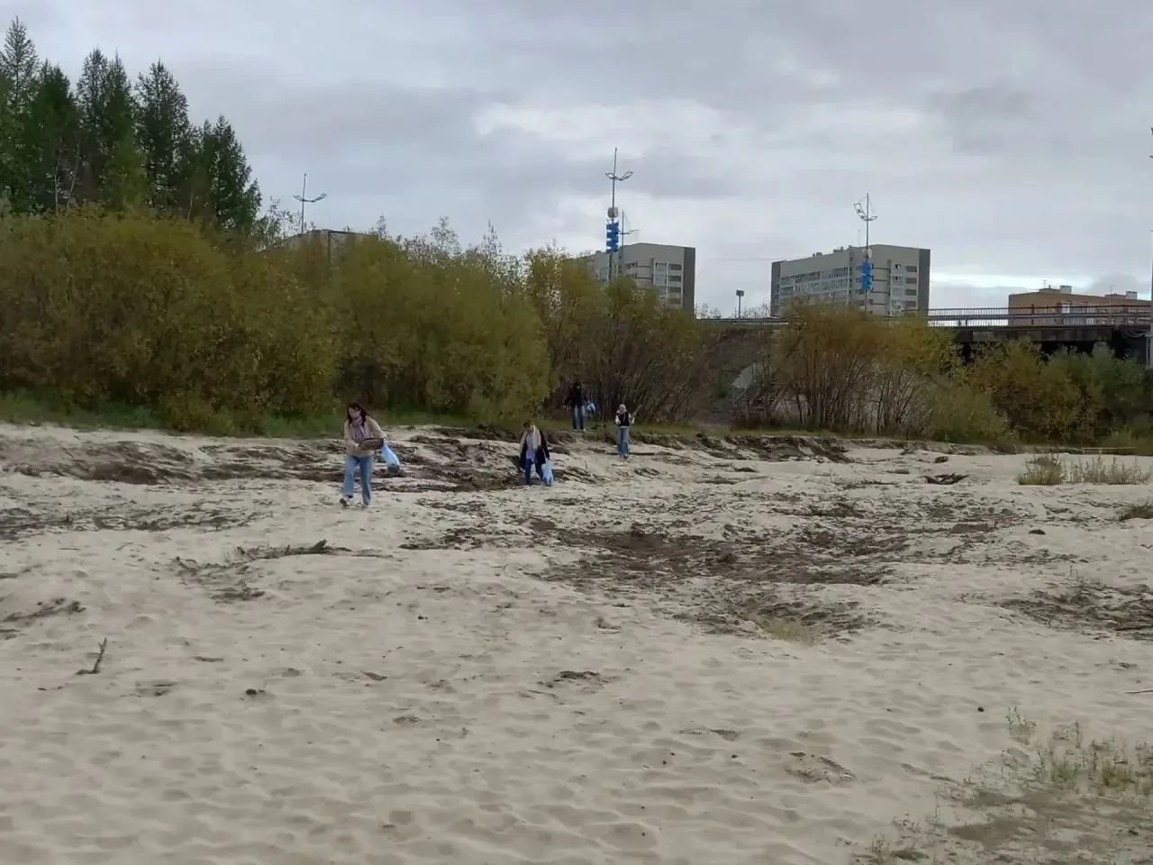 🧤 Вместе делаем город чище! 🧤