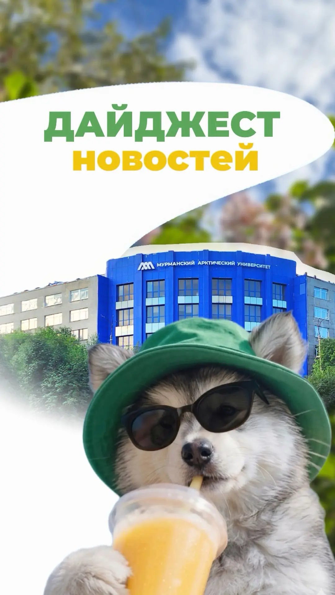 Летний сезон дайджестов завершён 🎬

За это время мы вместе следили за спасением кита, провожали кур