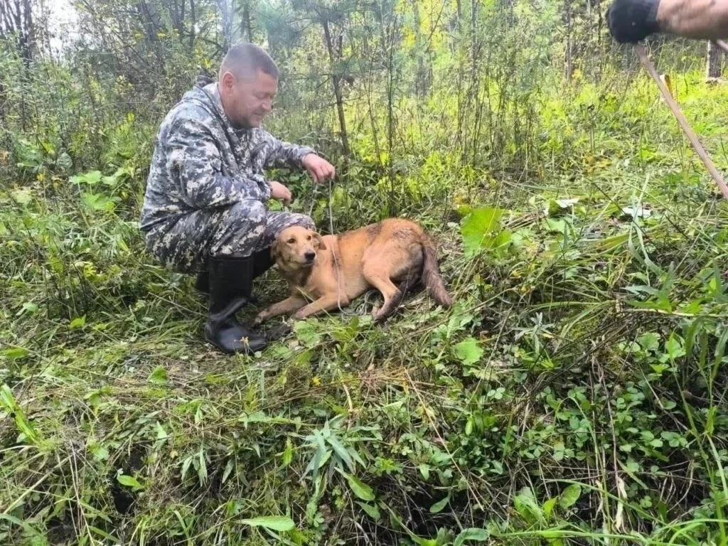 ⚡Пса спасли из заброшенной штольни в Новокузнецке
