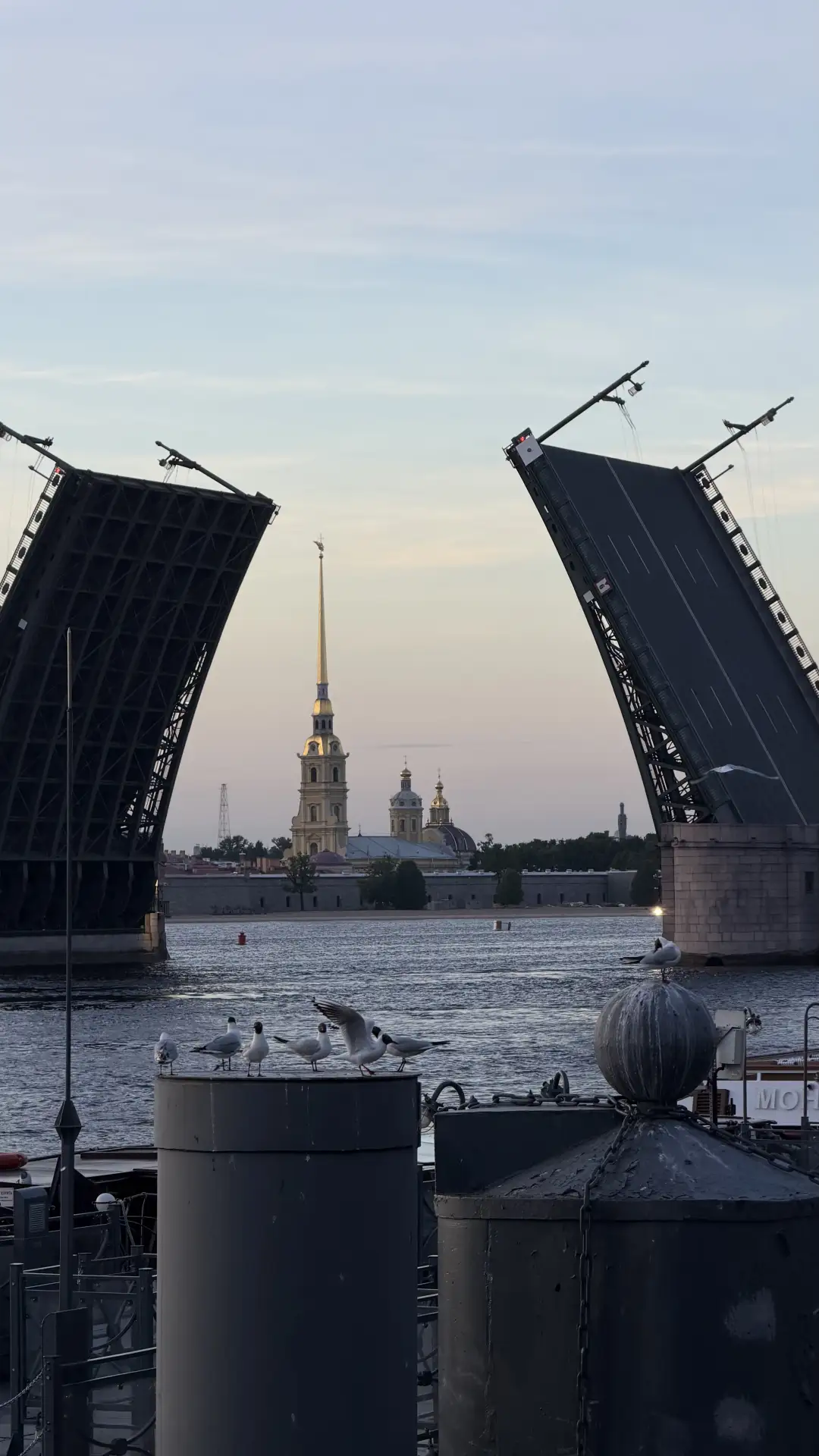 В Петропавловской крепости пройдут 12 бесплатных концертов

28 июня стартует карильонный фестиваль «
