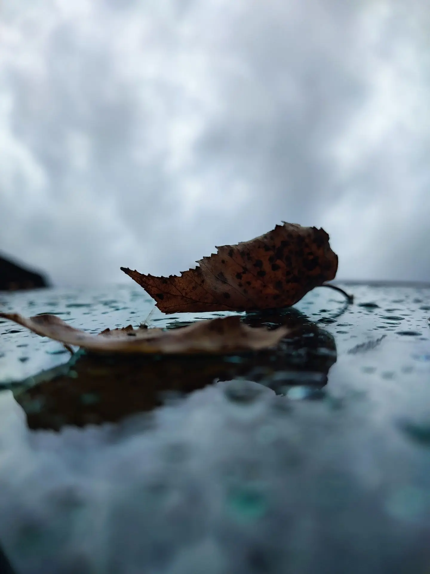🌬️💧☔ Местами в Приамурье дождь и мокрый снег, в Свободном - ветрено
