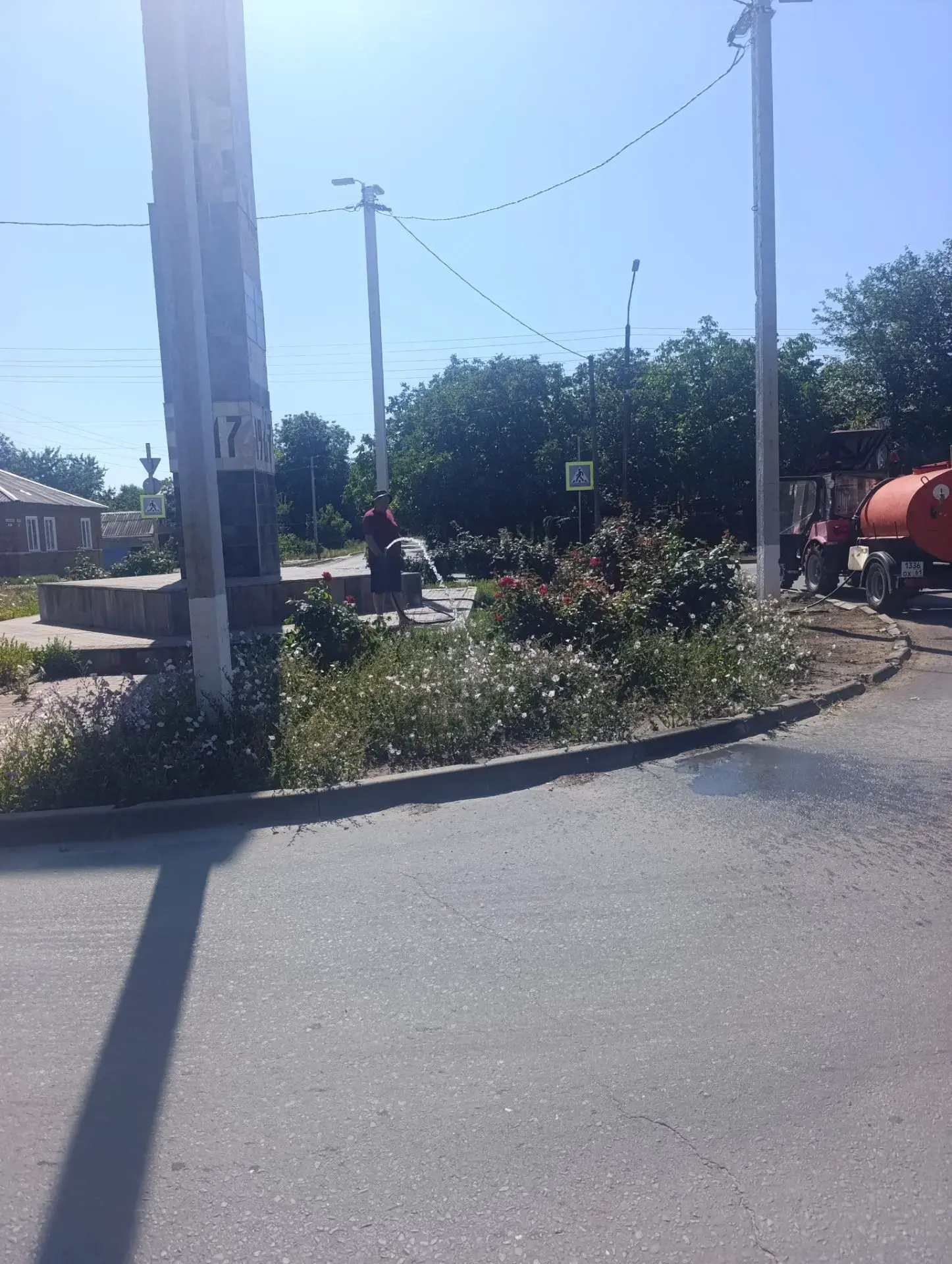 Полив роз
