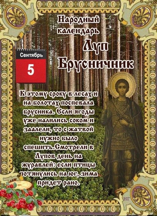 ✨Мир открыток