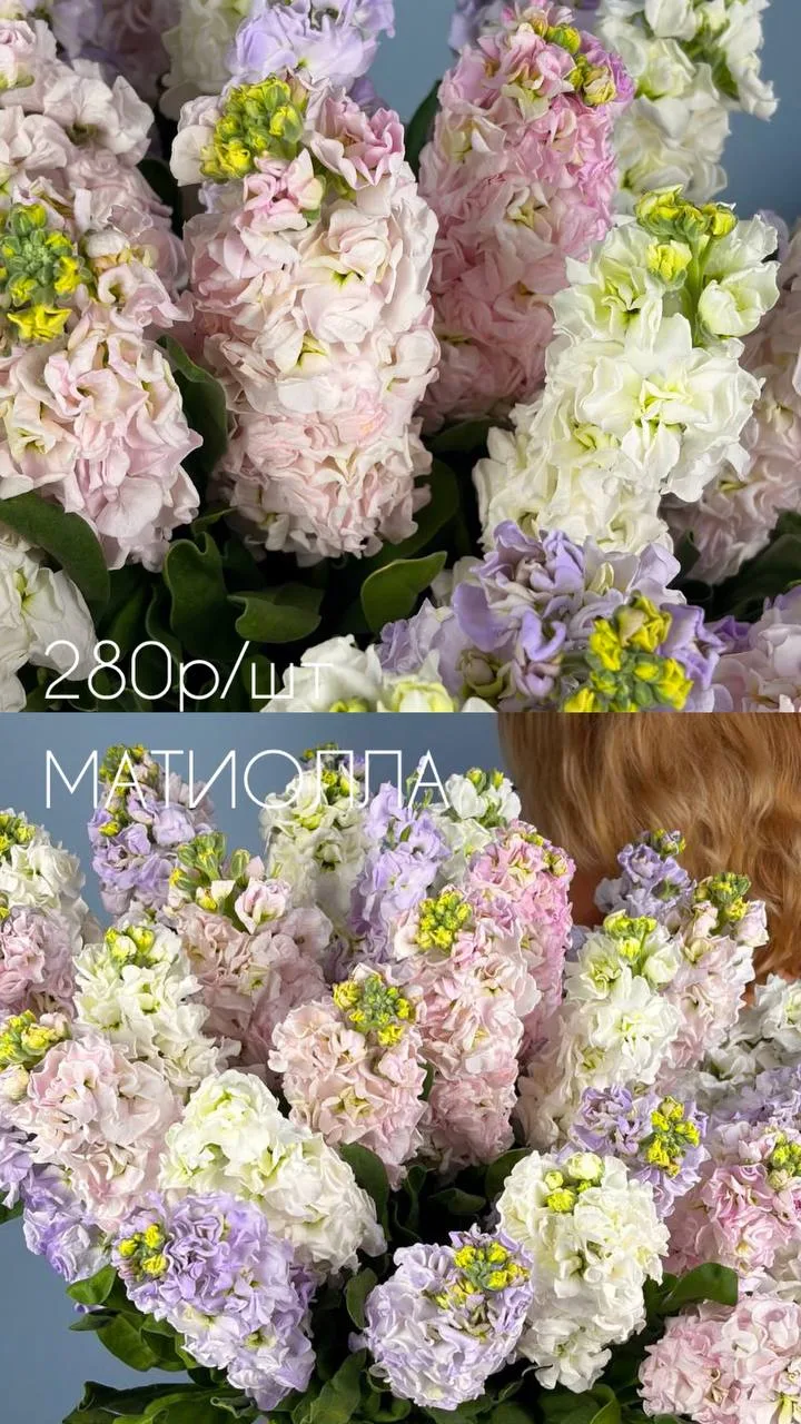 ⚠️Напоминание: не забудь заказать цветы!