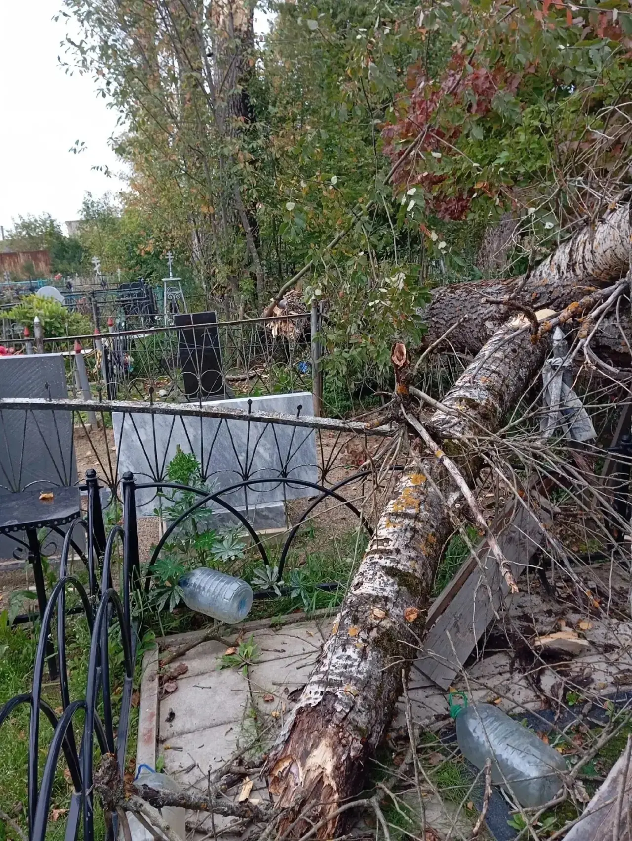 Состояние старого кладбища в Буе.