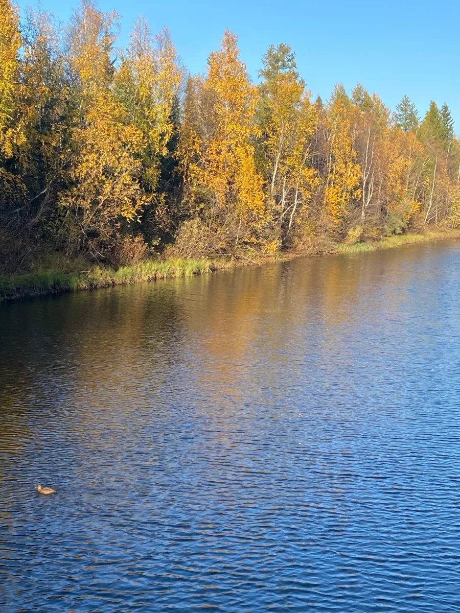Северная осень — короткая, но запоминающаяся!❤️