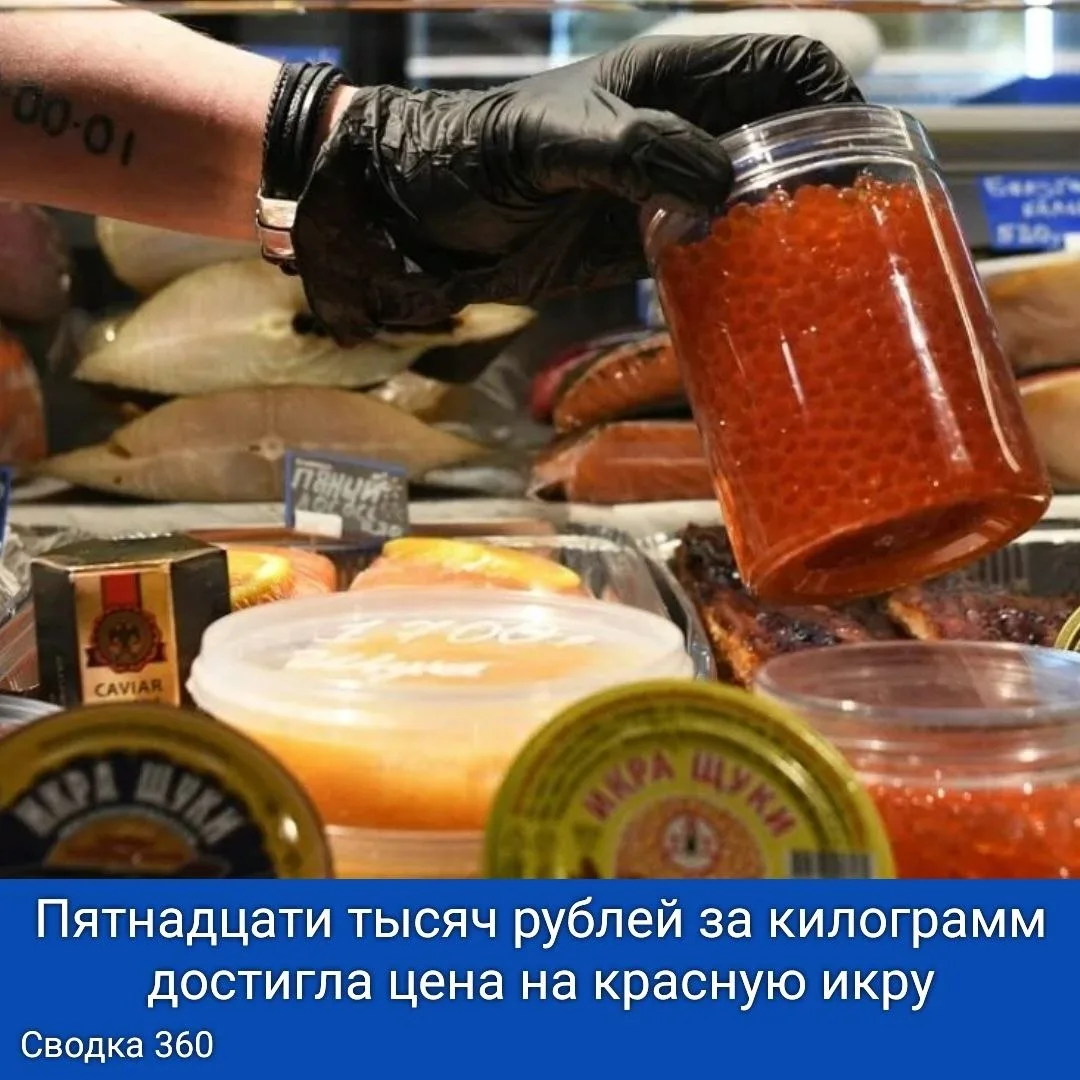 Пятнадцати тысяч рублей за килограмм достигла цена на красную икру. И речь идёт о стоим...