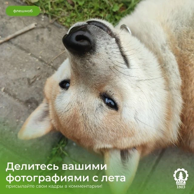 🌊 Ловим летние волны 🌊