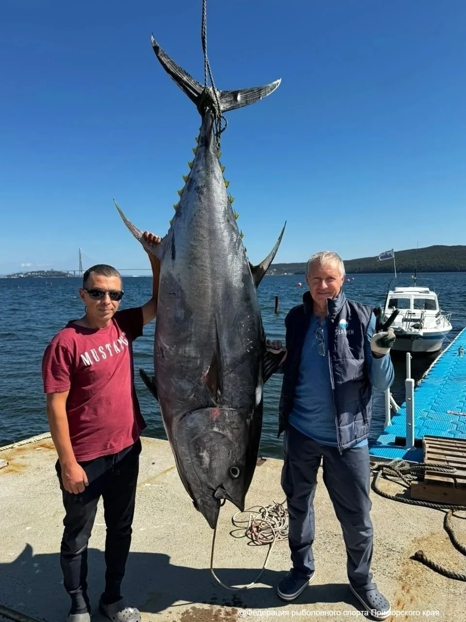 🐟 Россиянин Данила Расохин поймал на удочку крупнейшего тунца на Дальнем Востоке. Длин...