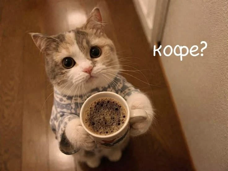 ☕️ Сегодня — Международный день кофе