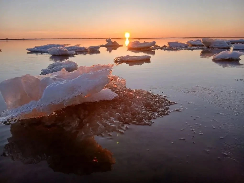 Прогноз погоды 🌤️  Сегодня в Мужах малооблачно. Без осадков. Температура воздуха +2…+14. Ветер север