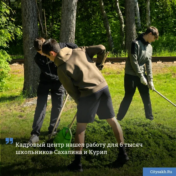 👌 Итоги летней трудовой кампании подвели в Кадровом центре Сахалинской области. Более ...
