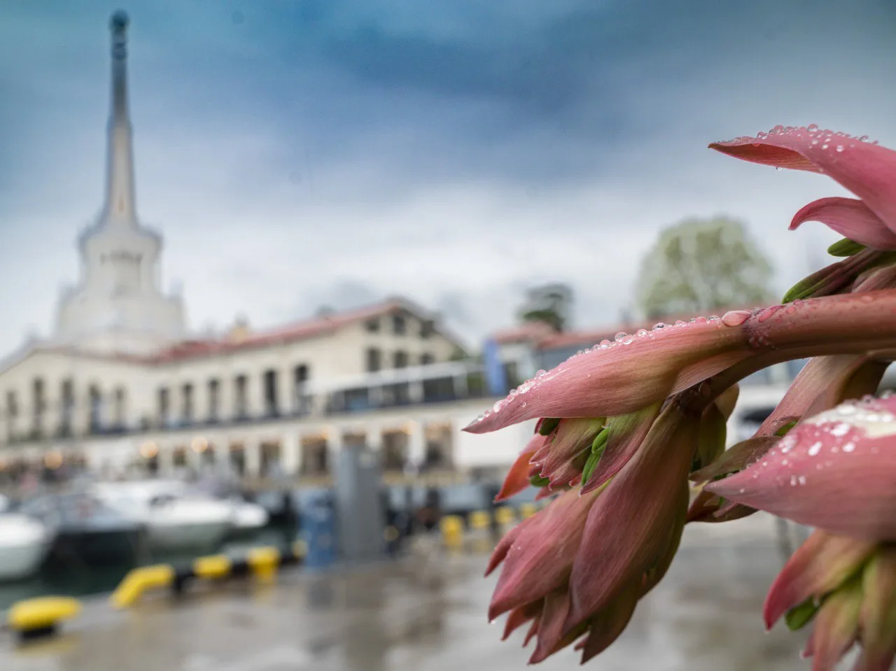 Полетели за тёплой весной! ✈️🌸  Самое время отправиться туда, где уже по-настоящему тепло и солнечно