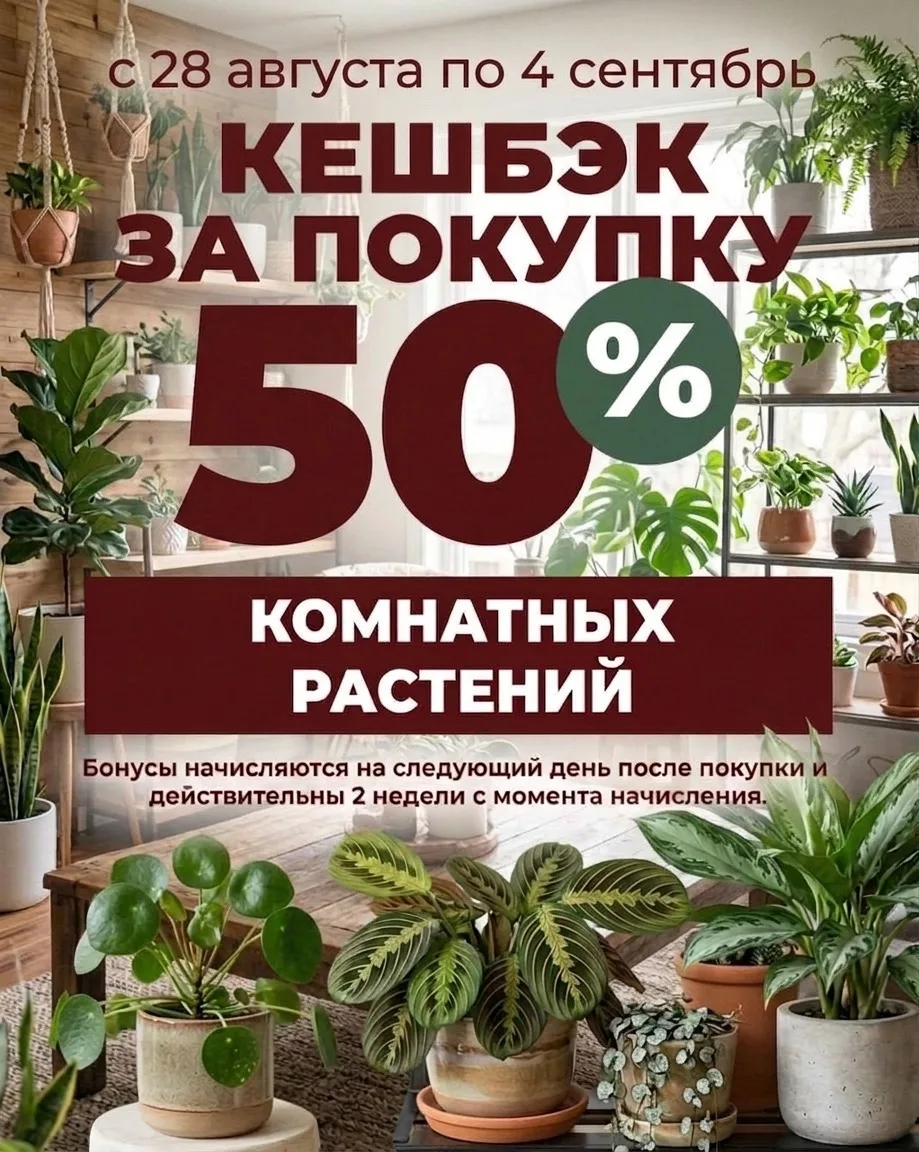 📢50% кэшбек при покупке комнатных растений.