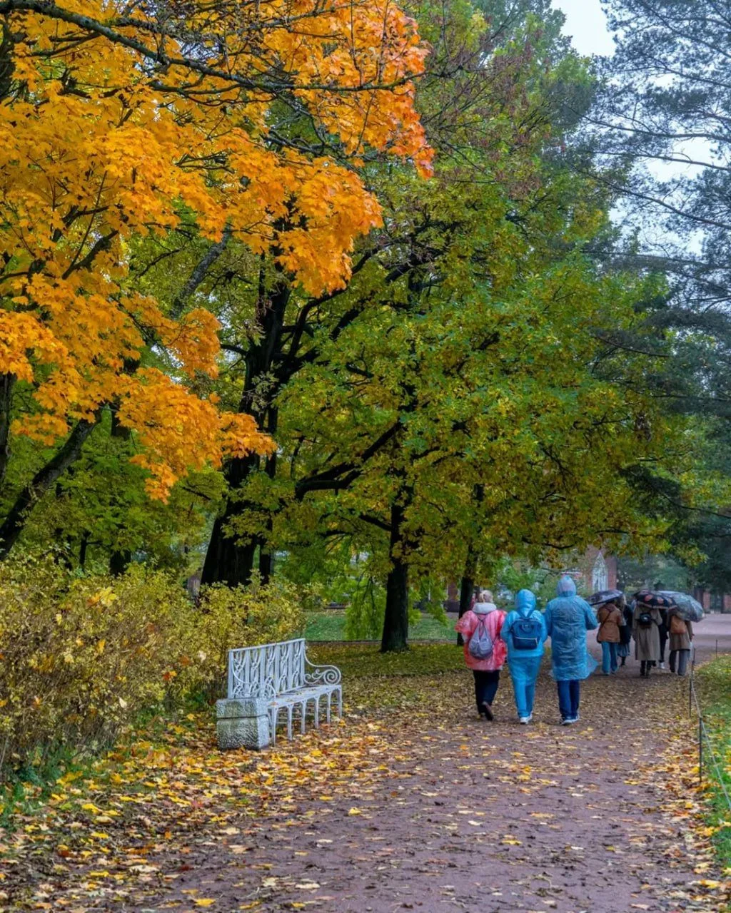 🌳 Екатерининский парк