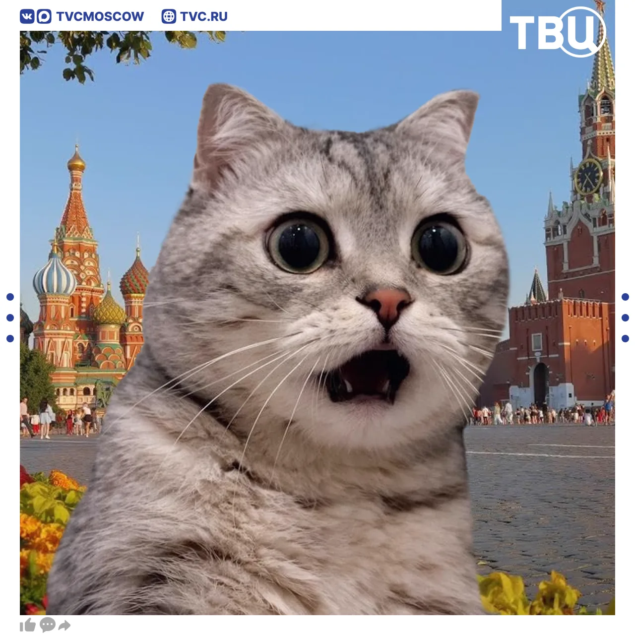 🥵 Жара до +35 градусов ожидается сегодня на востоке Подмосковья