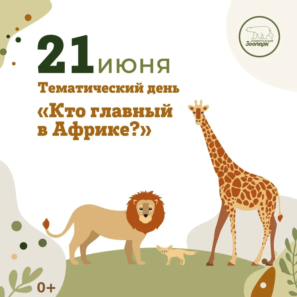 Добрый день, уважаемые родители!Африка – родина огромного количества животных, многих из которых мож