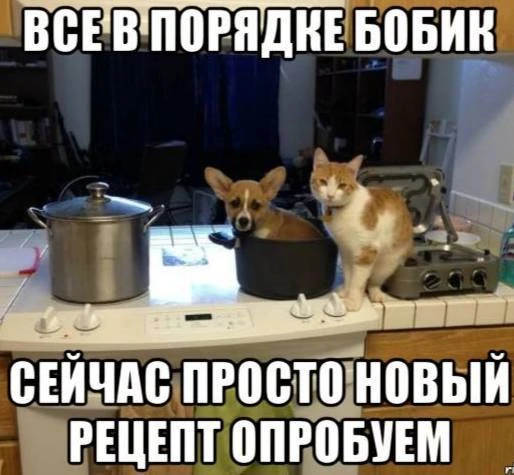 Как утверждают эксперты, высокий интеллект не гарантирует успехов в быту