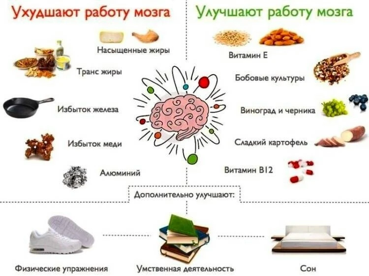 Продукты для работы мозга.
Мозг потребляет около 20% всей энергии организма. Продукты, которые мы ед