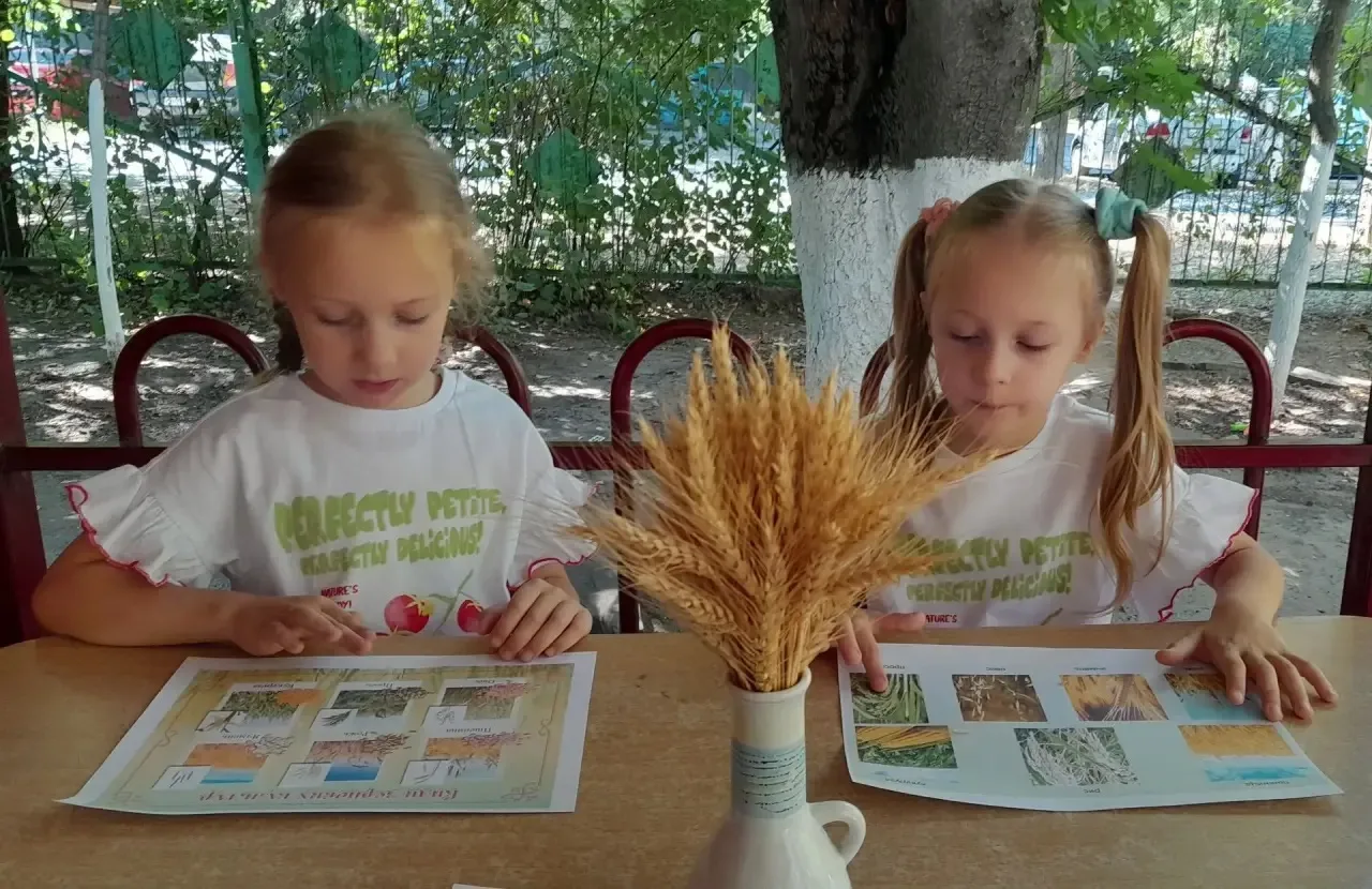 🌾В рамках реализации проекта «Цена крошки Хлеба-велика!» в  старшей  группе 7 прошёл т...