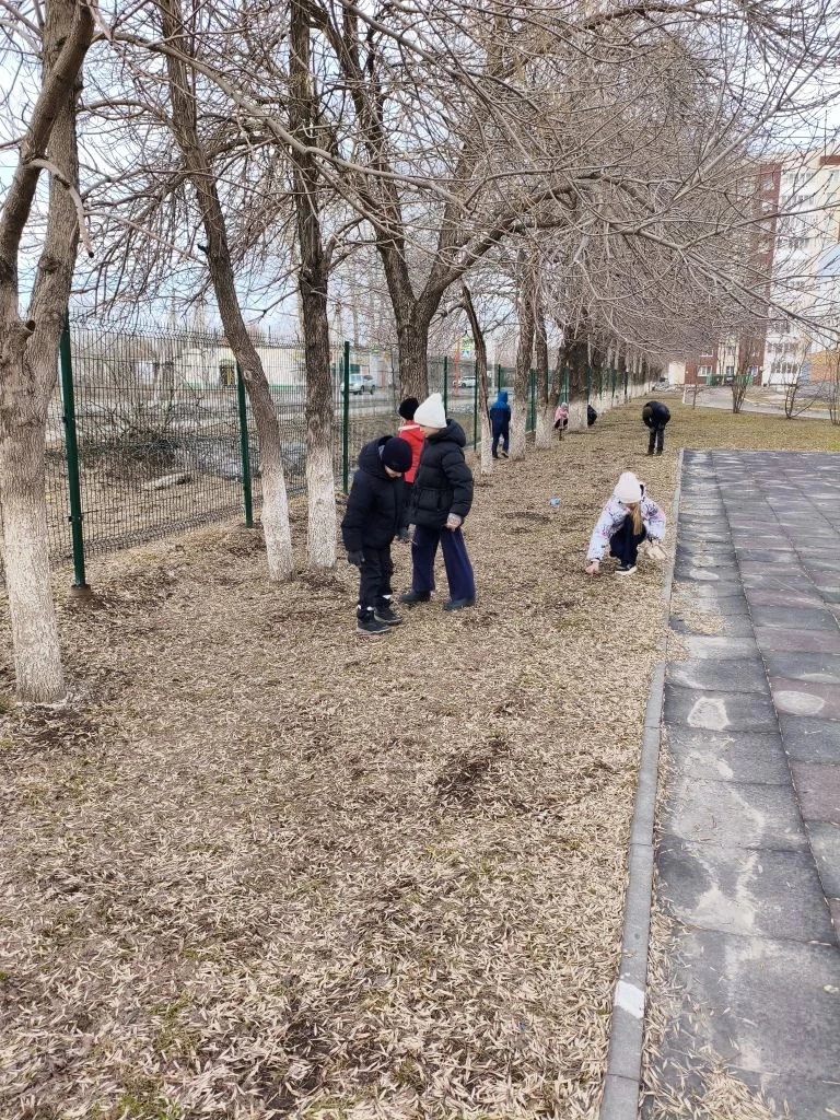 Ученики начальной школы  3 б класс внесли свой вклад в общее дело:веточки ,палочки пособирали. Навел
