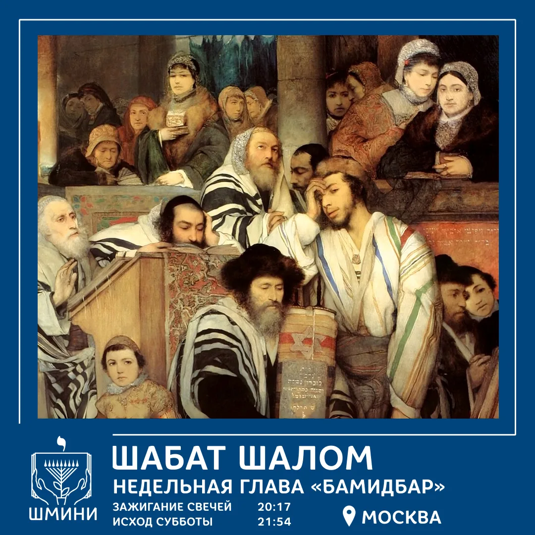 Шабат Шалом! Недельная глава Торы 📜 «Бамидбар»