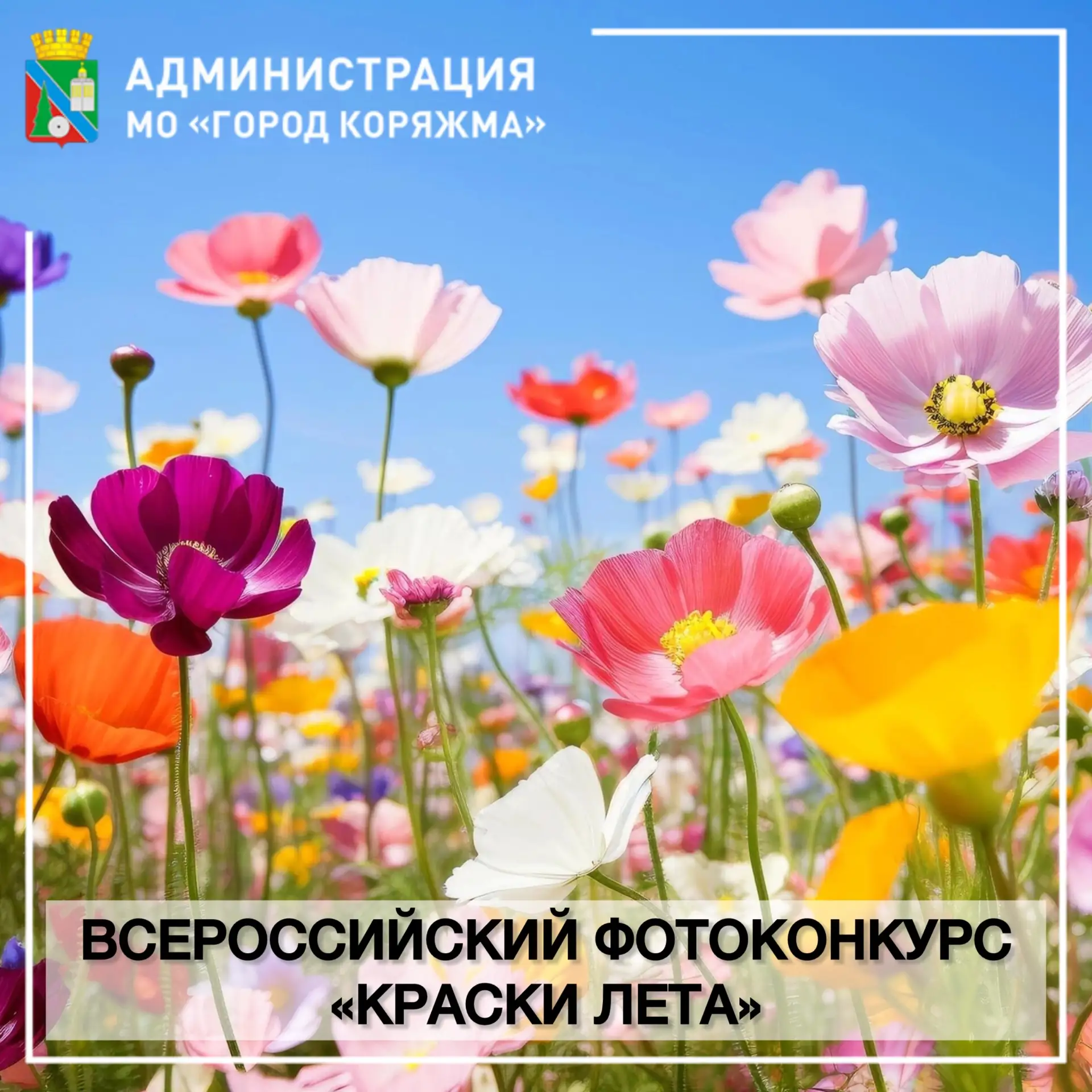 📢 Автономная некоммерческая просветительская организация «Медиацентр» приглашает приня...