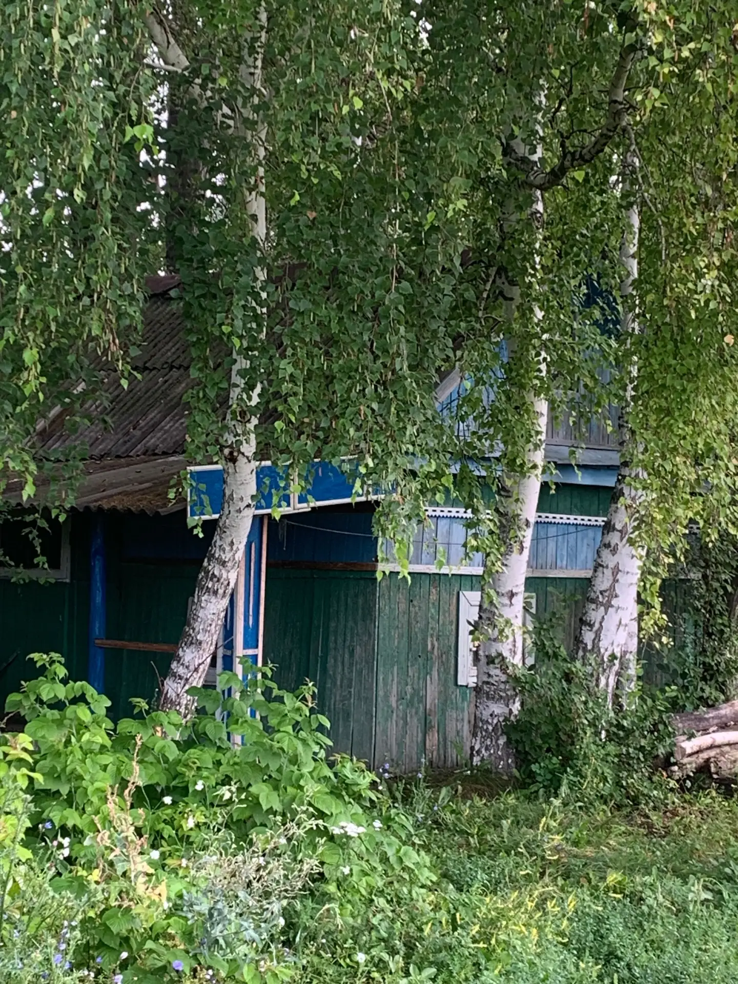 Фотографии от подписчиков. Бижбулякский район.