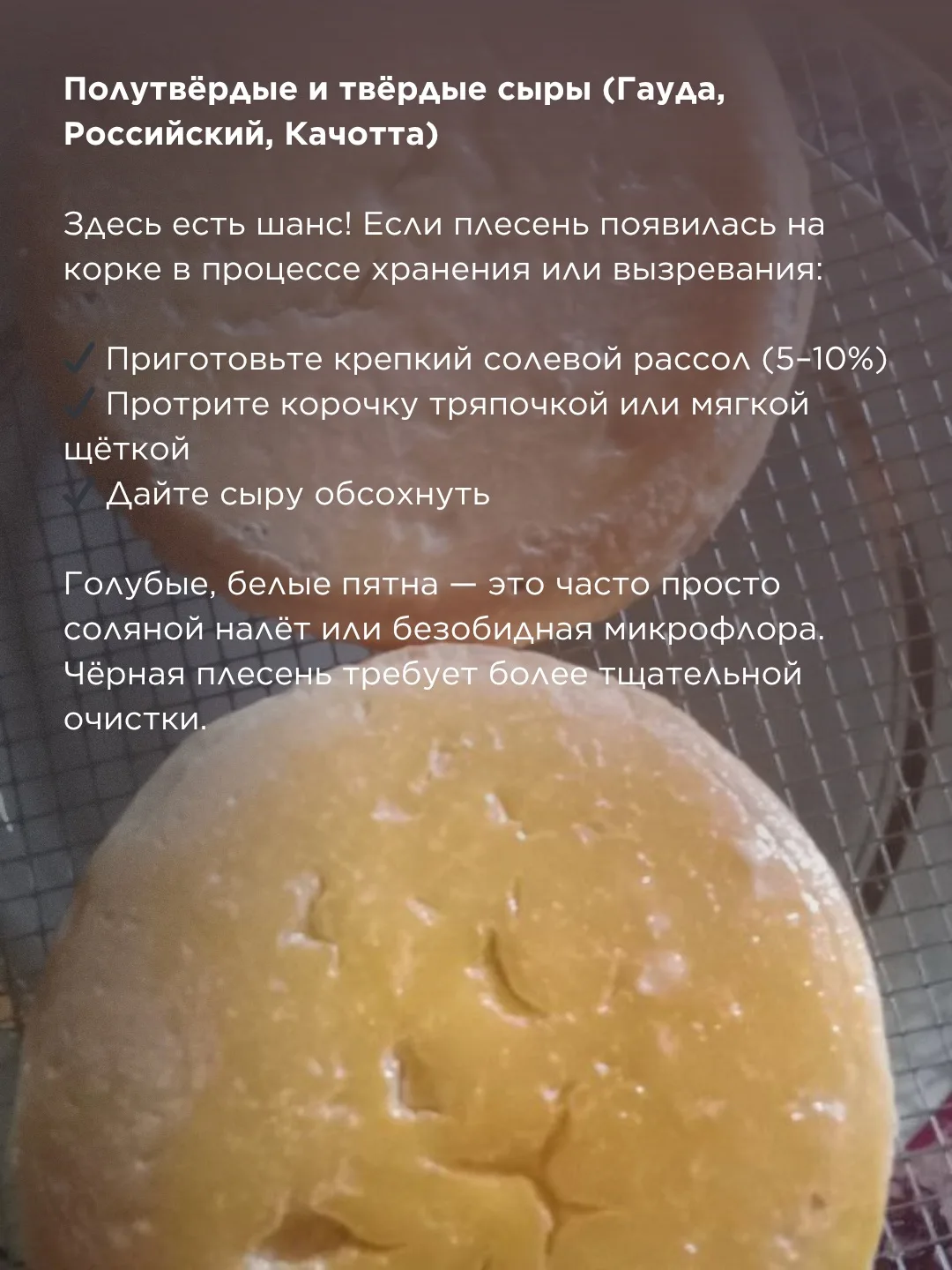 Сыр заплесневел в холодильнике: выбрасывать или можно спасти?   Каждый, кто хранит сыр дома, рано ил