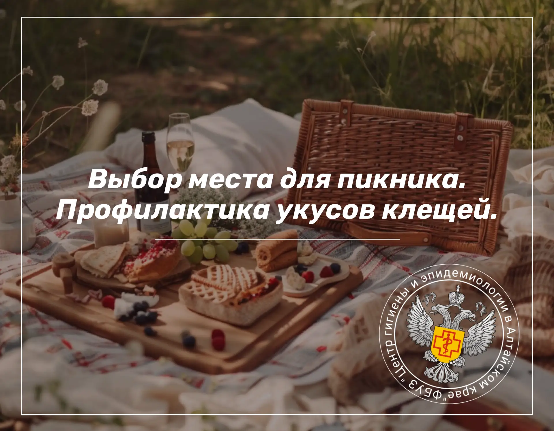 🌿Выбор места для пикника и профилактика укусов клещей требуют комплексного подхода. Клещи - перенос