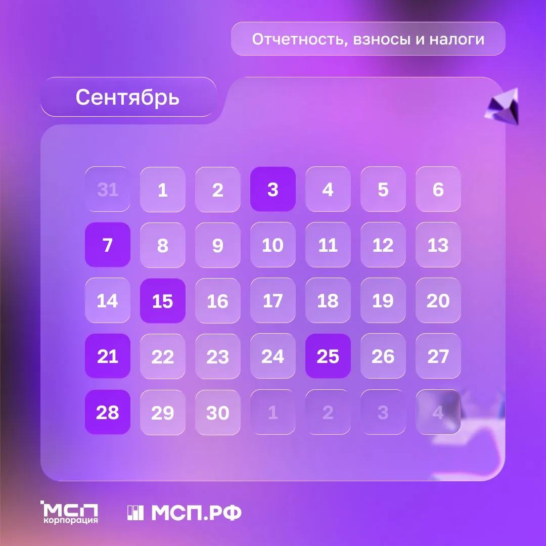 В первом месяце осени предпринимателей ждут обычные платежи и отчетность ✔️