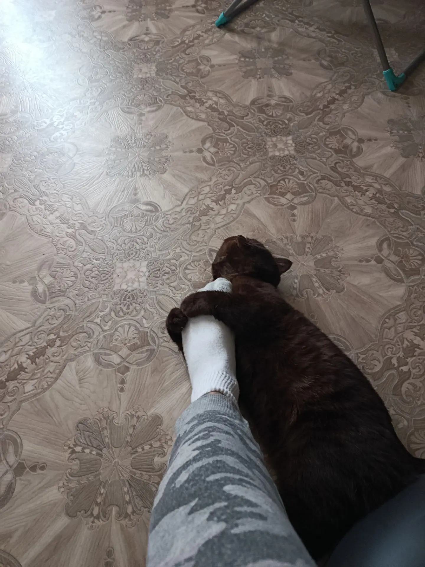 Утро начинается с обнимашек)
